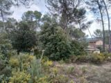Maison à construire à Ventabren (13122) 2455348-11680annonce120260312zBTaP.jpeg Maisons France Confort