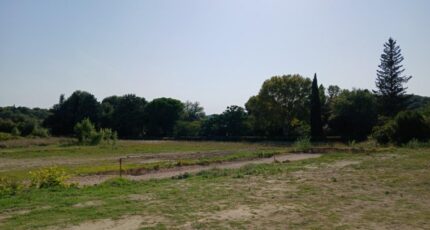 Boisseron Maison neuve - 2455369-11040annonce120260312wb6Of.jpeg Maisons France Confort