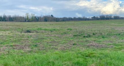 La Brède Maison neuve - 2451365-11795annonce620260310IRrzo.jpeg Maisons France Confort