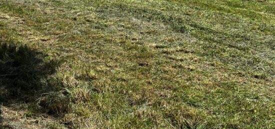 Terrain à bâtir à Saint-Porchaire, Nouvelle-Aquitaine