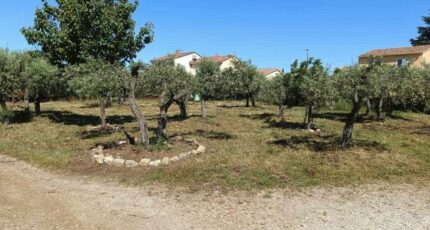 Aubignan Maison neuve - 2456228-695annonce4202603136C3EP.jpeg Maisons France Confort