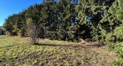 Cabrières-d'Avignon Terrain à bâtir - 2456339-695annonce220260313sxsUT.jpeg Maisons France Confort