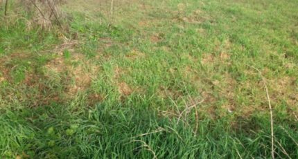 Colomiers Terrain à bâtir - 2455878-9555annonce120260313TSvsz.jpeg Maisons France Confort