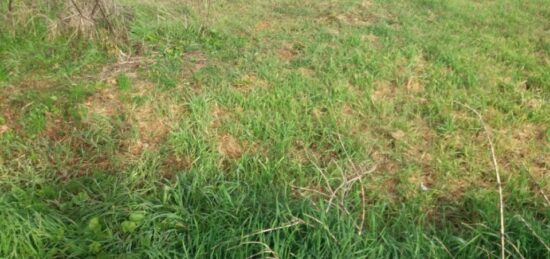 Terrain à bâtir à Colomiers, Occitanie