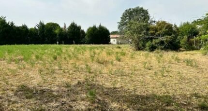 Montaigut-sur-Save Maison neuve - 2455347-10327annonce120260309pH34R.jpeg Maisons France Confort