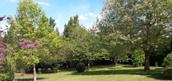 Terrain à bâtir à Bussy-Saint-Georges, Île-de-France
