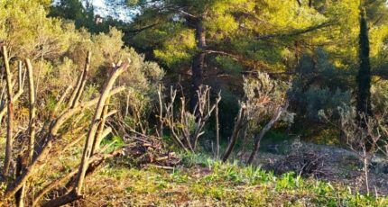 Toulon Maison neuve - 2456953-10025annonce420260313OQkf2.jpeg Maisons France Confort