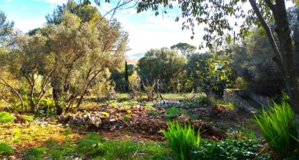 Toulon Maison neuve - 2456953-10025annonce1202603132SM97.jpeg Maisons France Confort