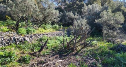 Toulon Maison neuve - 2456876-10025annonce420260313dXQwd.jpeg Maisons France Confort