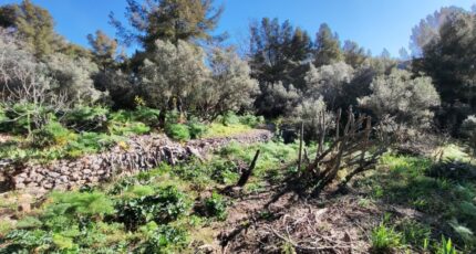 Toulon Maison neuve - 2456876-10025annonce520260313JrFER.jpeg Maisons France Confort