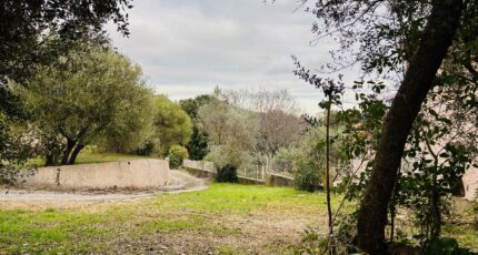 Pignans Terrain à bâtir - 2390434-4866annonce2202601135mCAJ.jpeg Maisons France Confort