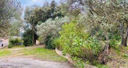 Pignans Terrain à bâtir - 2390434-4866annonce420260113vmNcd.jpeg Maisons France Confort