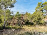 Terrain à bâtir à Rocbaron (83136) 2390897-4866annonce120260113TPL0f.jpeg Maisons France Confort