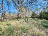 Terrain à bâtir à Rocbaron (83136) 2390933-4866annonce120260113AASwq.jpeg Maisons France Confort