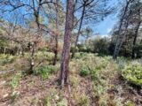 Terrain à bâtir à Rocbaron (83136) 2390933-4866annonce320260113VpCpe.jpeg Maisons France Confort