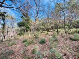 Terrain à bâtir à Rocbaron (83136) 2390933-4866annonce420260113mGMQ3.jpeg Maisons France Confort