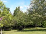 Maison à construire à Dammarie-les-Lys (77190) 2427471-11570annonce120260212nudga.jpeg Maisons France Confort