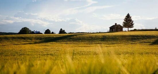 Terrain à bâtir à Neuvy-le-Roi, Centre-Val de Loire