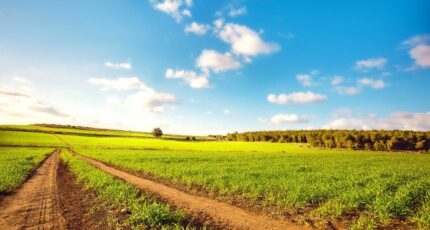 Druye Maison neuve - 2383837-10650annonce120260105RFqXW.jpeg Maisons France Confort