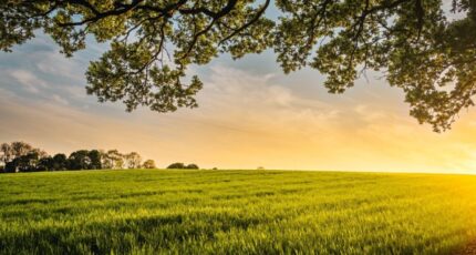 Artannes-sur-Indre Maison neuve - 2383926-10650annonce120260105MxFIO.jpeg Maisons France Confort