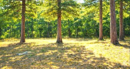 Brignoles Maison neuve - 2456757-10025annonce220260313OC3qp.jpeg Maisons France Confort