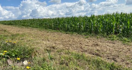 Athies Maison neuve - 2389659-6159annonce220260112ORu8r.jpeg Maisons France Confort