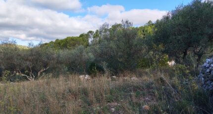 Carnoules Maison neuve - 2459444-9891annonce820260317hiyyh.jpeg Maisons France Confort