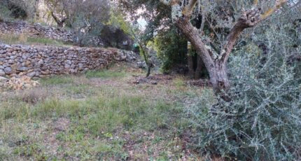 Carnoules Maison neuve - 2459444-9891annonce1020260317JSm7s.jpeg Maisons France Confort