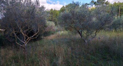 Carnoules Maison neuve - 2459444-9891annonce120260317zqxGb.jpeg Maisons France Confort