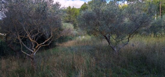 Terrain à bâtir à Carnoules, Provence-Alpes-Côte d'Azur