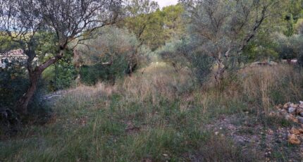 Carnoules Terrain à bâtir - 2459436-9891annonce320260317bTyGX.jpeg Maisons France Confort