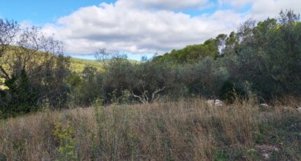 Carnoules Terrain à bâtir - 2459436-9891annonce220260317zw8hi.jpeg Maisons France Confort