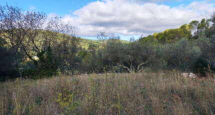 Carnoules Terrain à bâtir - 2459436-9891annonce420260317zThvv.jpeg Maisons France Confort