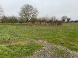 Terrain à bâtir à Champagne (17620) 2459820-11194annonce220260318pkfez.jpeg Maisons France Confort