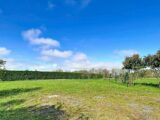 Maison à construire à Brax (31490) 2457725-10327annonce120260316C0stw.jpeg Maisons France Confort