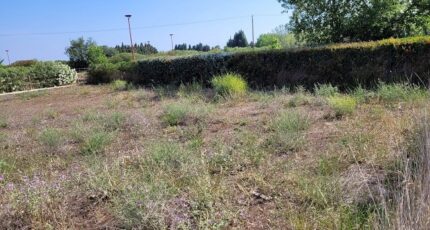 Toulouges Terrain à bâtir - 2460100-4671annonce120260318xsJhE.jpeg Maisons France Confort