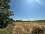 Maison à construire à Saint-Chaptes (30190) 2460627-3243annonce120260318dazMl.jpeg Maisons France Confort