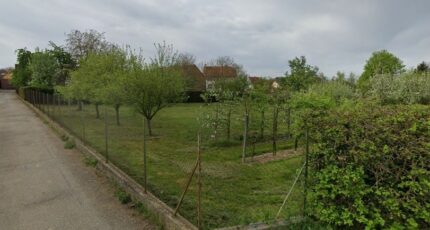 Ringendorf Terrain à bâtir - 2385579-11242annonce220250916bH0v2.jpeg Maisons France Confort