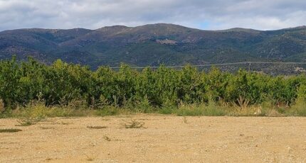 Los Masos Terrain à bâtir - 2460679-4671annonce120260318mwSzp.jpeg Maisons France Confort