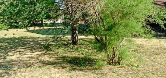 Terrain à bâtir à Tournefeuille, Occitanie