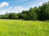Terrain à bâtir à Artigues-près-Bordeaux (33370) 2391029-11596annonce220250918dsGA7.jpeg Maisons France Confort