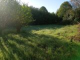 Terrain à bâtir à Artigues-près-Bordeaux (33370) 2391029-11596annonce2202602140uUiu.jpeg Maisons France Confort