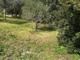 Terrain à bâtir à Hyères (83400) 2462088-11837annonce320260412K15QA.jpeg Maisons France Confort