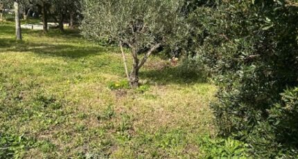 Hyères Terrain à bâtir - 2462088-11837annonce320260412K15QA.jpeg Maisons France Confort