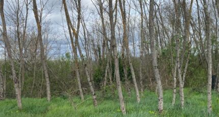 Portets Maison neuve - 2461675-11795annonce220260319vApWg.jpeg Maisons France Confort