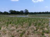 Terrain à bâtir à La Membrolle-sur-Longuenée (49770) 2395148-10544annonce120260116nfqTx.jpeg Maisons France Confort
