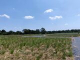 Maison à construire à Juigné-sur-Loire (49610) 2397942-10544annonce120260119JXchp.jpeg Maisons France Confort