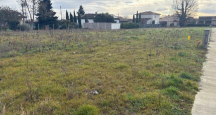 Blagnac Maison neuve - 2461921-11356annonce3202603196ixIi.jpeg Maisons France Confort