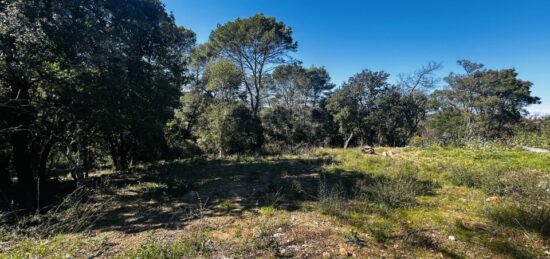 Terrain à bâtir à Le Thoronet, Provence-Alpes-Côte d'Azur
