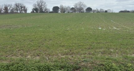La Réole Terrain à bâtir - 2456937-11292annonce120260313r0BM4.jpeg Maisons France Confort